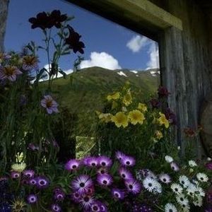 Meet your Posher, Sue